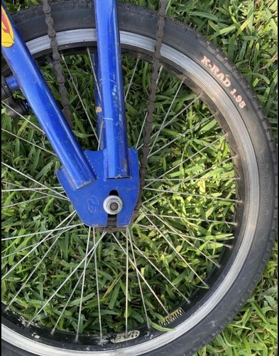 Купить Велосипед Blue Trek TR10 20\